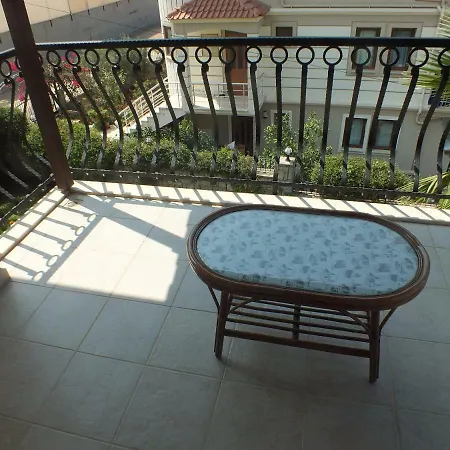 Daisy Garden B فيلة *