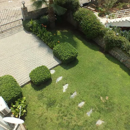 فيلة Daisy Garden B
